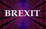 What does Brexit mean for Indian Investors in the medium term: Part 1