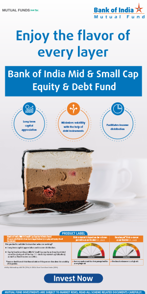 BOI MF Mid Small Equity Debt 300x600