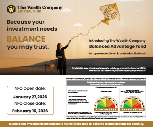 The Wealth Company BAF NFO 300x250