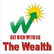 THE WEALTH  - Mutual Fund Advisor in Himatnagar, Himatnagar