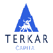 Terkar Capital - Loan Against Property Advisor in Deccan Gymkhana, Pune