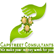 CAPSTREET CONSULTANTS  - Certified Financial Planner (CFP) Advisor in Malad East