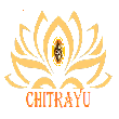 Chitrayu Finvest & IMF LLP  - General Insurance Advisor in Mansarovar, JAIPUR