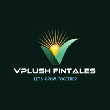 VPLUSH FINTALES  - Mutual Fund Advisor in Gohad