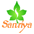 Sanriya Finvest Pvt Ltd - Certified Financial Planner (CFP) Advisor in Pune