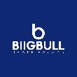 Biigbull financial services pvt. ltd.  - Post Office Schemes Advisor in Agrico