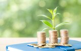 Axis Midcap Fund: Track record of wealth creation