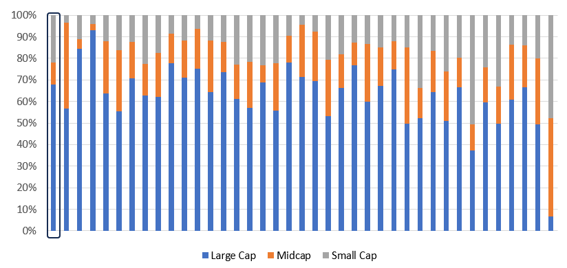 The chart below shows the market cap allocations of all the flexicap funds that have minimum 2-year track records