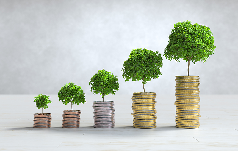 Why having large and midcap funds in the portfolio matters now