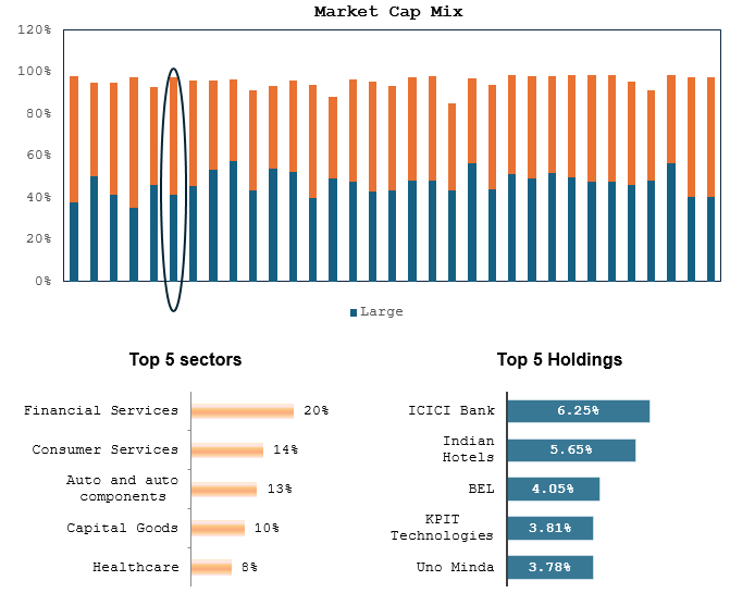 Mutual Fund - The chart below shows the asset allocation / market cap mix of the funds in the large and midcap category