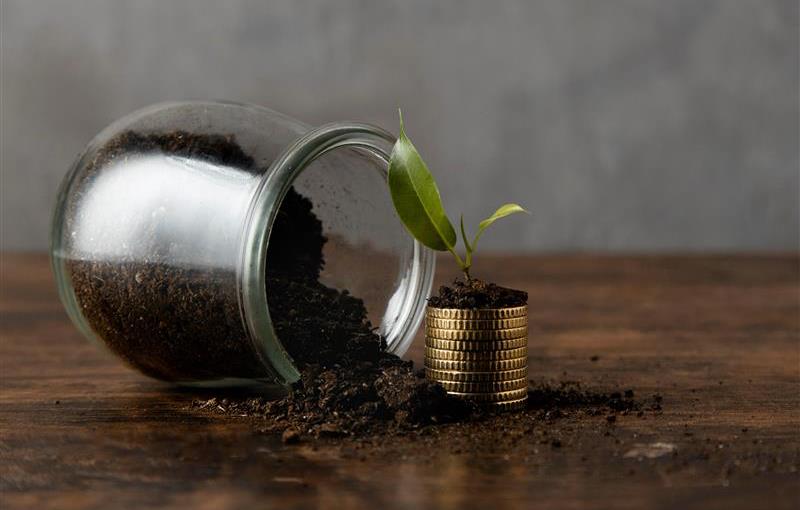 Union Small Cap Fund: On an improving performance trajectory versus benchmark and peers