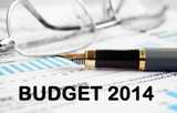 Union Budget article in Advisorkhoj - What the Industry experts has to say about Budget 2014