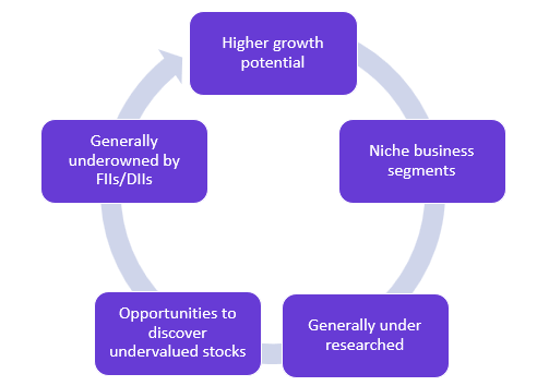 Why invest in the mid and small-cap segment? Why invest in the mid and small-cap segment?