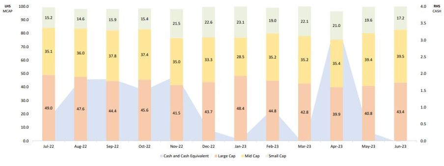 Mutual Funds - Around 50% large cap and 50% mid and small cap