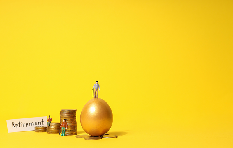 The Wealth Company Large and Midcap Fund NFO: Potential Growth and relative stability in a single investment