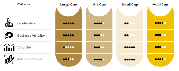 The distinct characteristics of each market-cap segment highlights the value of a diversified Multi Cap portfolio. The distinct characteristics of each market-cap segment highlights the value of a diversified Multi Cap portfolio.