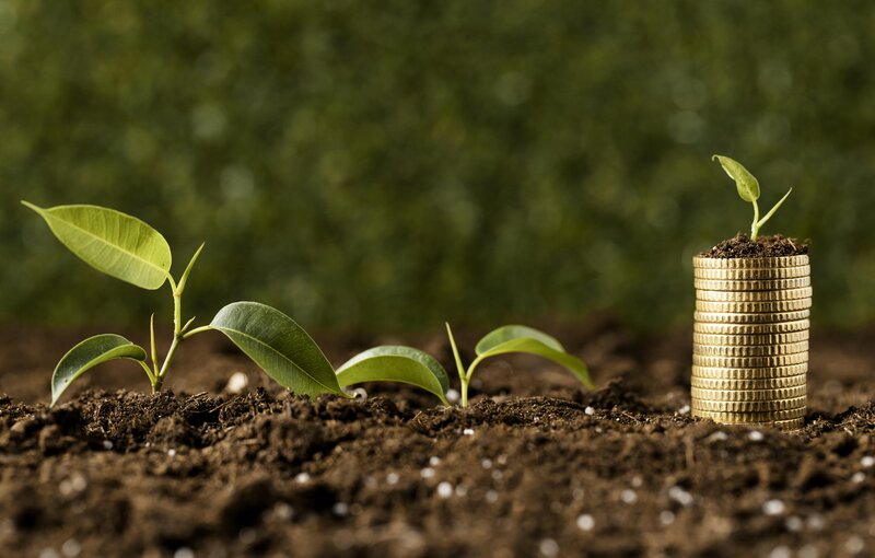 Article in Advisorkhoj - PGIM India Multi Cap Fund: A promising long term investment option in current market conditions