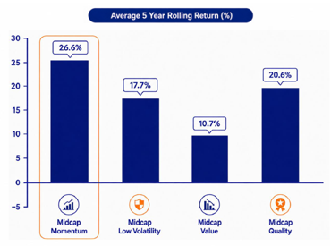 Within the Midcap segment, momentum has delivered higher returns than other factor strategies