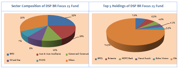 Mutual Funds - Sector Composition and Top 5 Holdings of DSP BlackRock Focus 25 fund