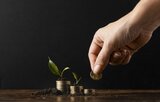 LIC MF Dividend Yield Fund: A suitable diversified equity in current market dynamics