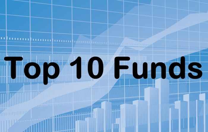 Mutual Funds article in Advisorkhoj - Top 10 Large Cap Mutual Funds to invest in 2015