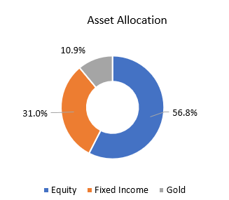 Investment strategy of HDFC Multi Asset Active FOF Investment strategy of HDFC Multi Asset Active FOF