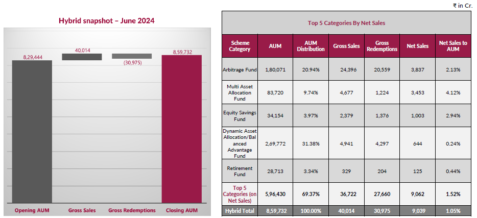 Hybrid category in June 2024 Hybrid category in June 2024